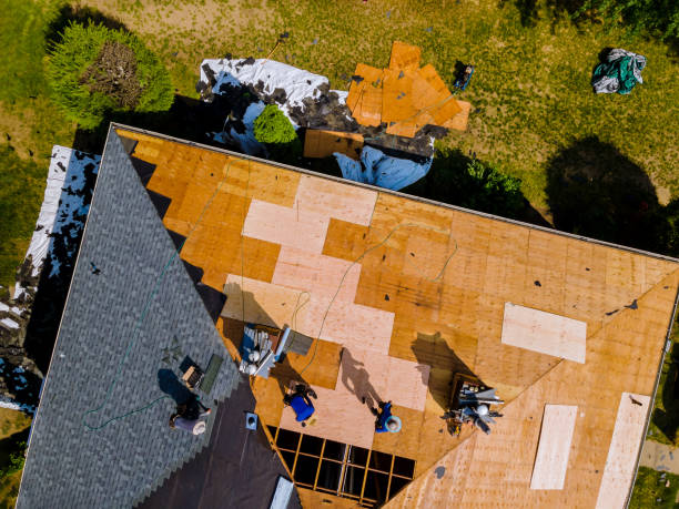 Best Flat Roof Repair Services  in Allen Park, MI