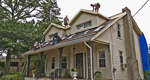 Best Shingle Roofing Installation  in Allen Park, MI