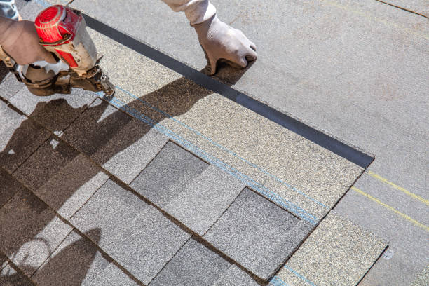 Best Roof Repair Services  in Allen Park, MI
