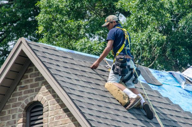 Quick and Trustworthy Emergency Roof Repair Services in Allen Park, MI